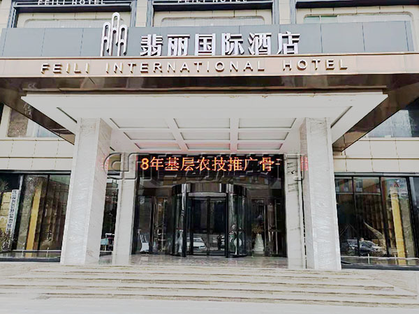 廣州翡麗國際大酒店兩翼旋轉(zhuǎn)門